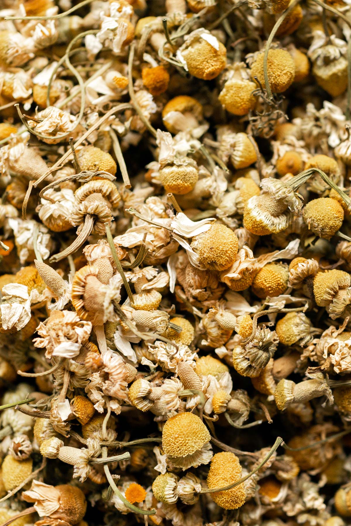 Loose dried chamomile flowers.