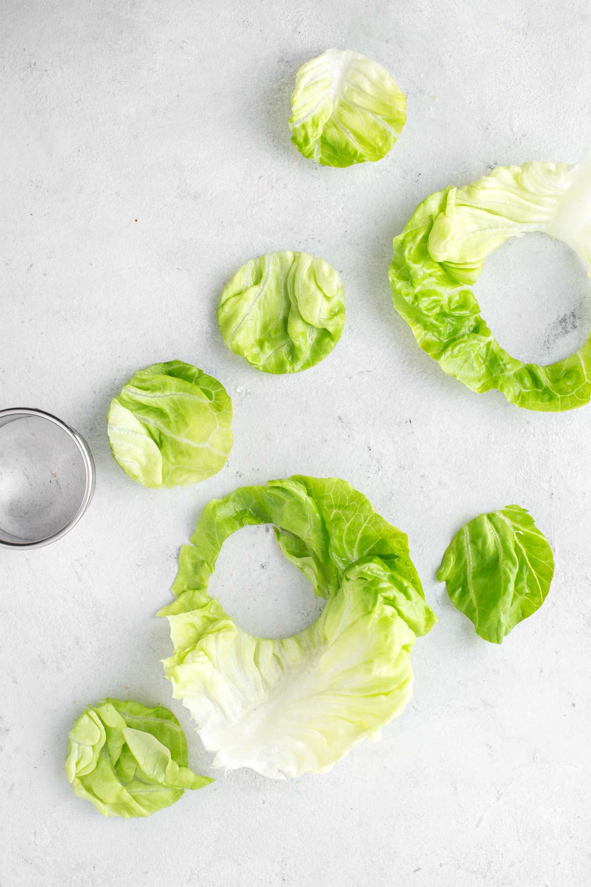 Butter lettuce being cut into circles with a round cookie cutter.