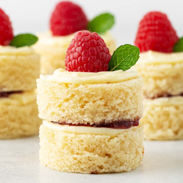 Mini Victoria Cakes with StoreBought Pound Cake Oh, How Civilized